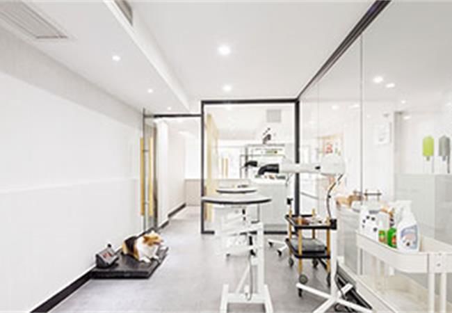 合肥寵物店設(shè)計裝修考慮什么？裝修公司重點總結(jié)