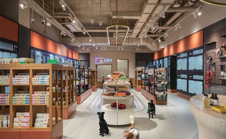 合肥工裝設(shè)計(jì)分享，活潑俏皮的寵物店裝修案例